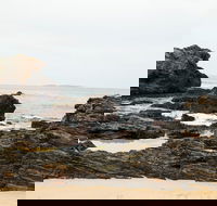 Mystery Bay Short Walk - Mackay Tourism