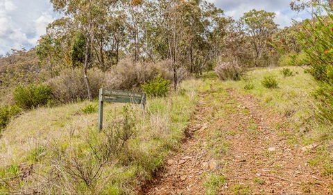 Old Mountain Road Walking Track - Mackay Tourism 0