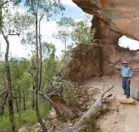 Pilliga National Park - Mackay Tourism