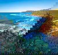 Shellgrit Beach Red Head - Mackay Tourism