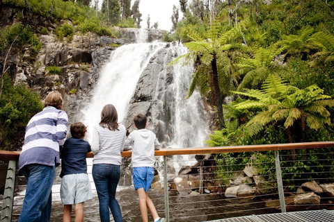Steavenson Falls - Mackay Tourism 0