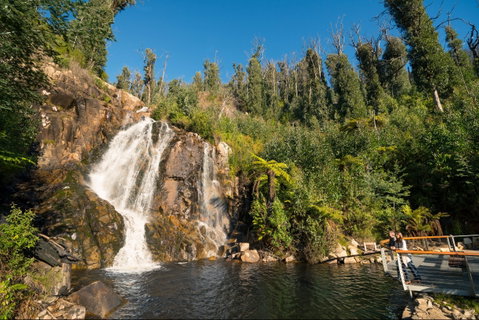 Steavenson Falls - Mackay Tourism 1