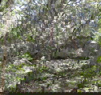 Tallaganda National Park - Mackay Tourism
