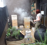 The Urban Beehive Port Botany - Mackay Tourism