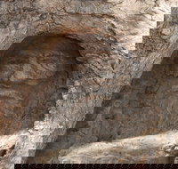 The Face Tree near Burke and Wills Dig Tree - Mackay Tourism