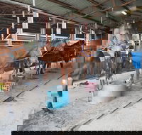 The Equine Club - Mackay Tourism