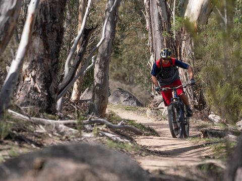 Thredbo Valley Track - Mackay Tourism 2
