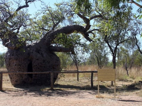 Time Walk, Windjana Gorge National Park - Mackay Tourism 2