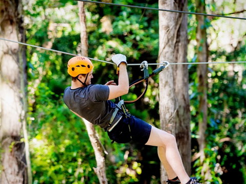 TreeTop Challenge Currumbin Wildlife Sanctuary - Mackay Tourism 0