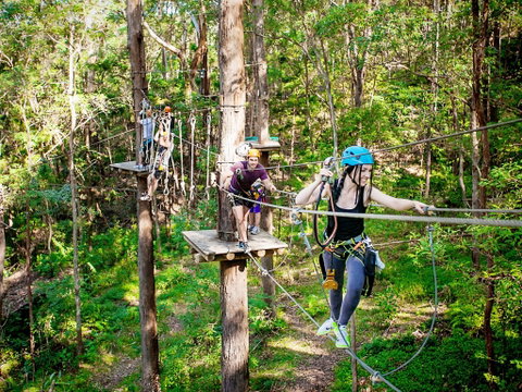 TreeTop Challenge Currumbin Wildlife Sanctuary - Mackay Tourism 1
