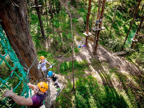 TreeTop Challenge Currumbin Wildlife Sanctuary - Mackay Tourism 2