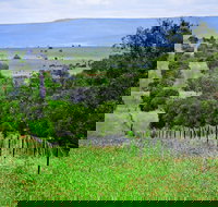 Wild Dog Barrier Fence - Mackay Tourism