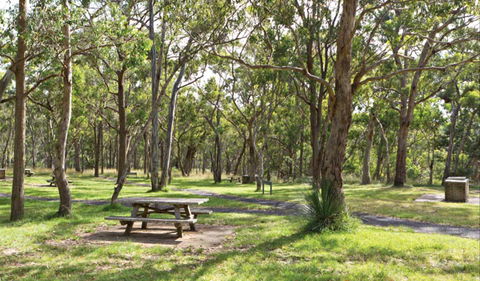 Wollomombi Gorge And Falls Picnic Area - Mackay Tourism 0