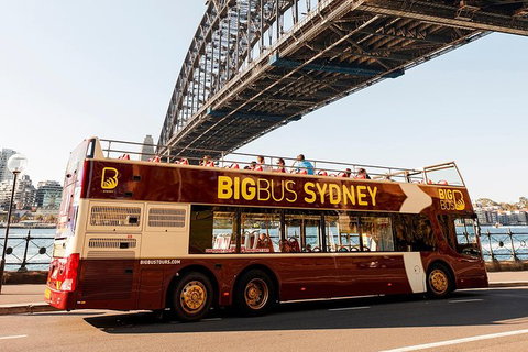 Hop-On Hop-Off Bus And Cruise PLUS Attractions - Mackay Tourism 5