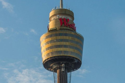 Hop-On Hop-Off Bus And Cruise PLUS Attractions - Mackay Tourism 2