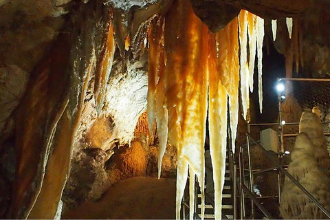 Jenolan Caves: Orient Cave Tour - Mackay Tourism 3