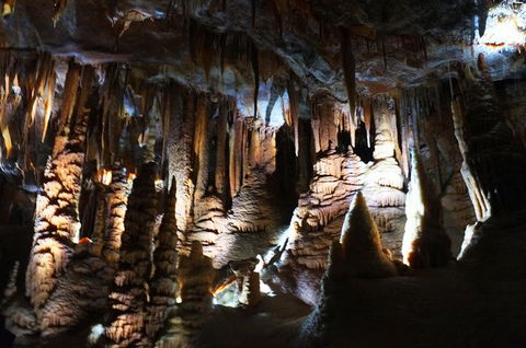 Jenolan Caves: Orient Cave Tour - Mackay Tourism 2