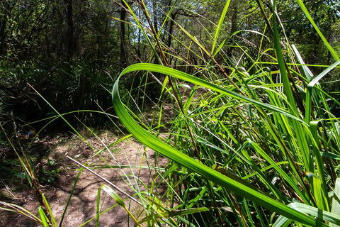 Beaches Of Eden Photographic Discovery Tours - Mackay Tourism 22