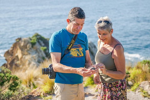 Beaches Of Eden Photographic Discovery Tours - Mackay Tourism 18