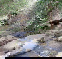 Bomaderry Creek Regional Park - Mackay Tourism
