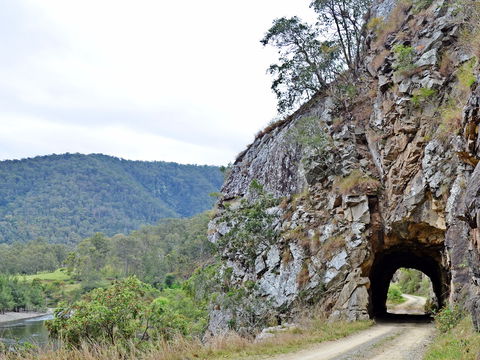 Boyd River - Mackay Tourism 1