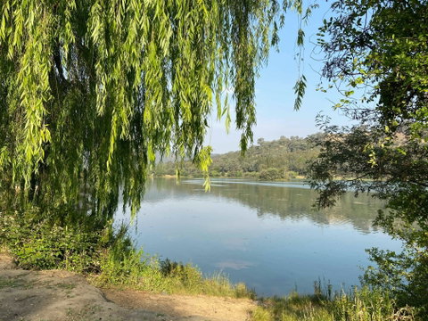Eildon Pondage Walk - Mackay Tourism 1