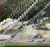 Maroochy Regional Bushland Botanic Garden - Mackay Tourism