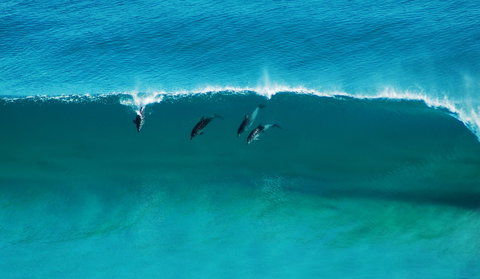 Sand Patch - Mackay Tourism 1