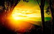 Blue Mountains Into The Wild Overnight Camping 4WD Off Road Wilderness Adventure - thumb 7