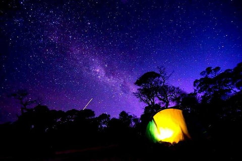 Blue Mountains Into The Wild Overnight Camping 4WD Off Road Wilderness Adventure - Mackay Tourism 5