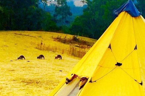 Blue Mountains Into The Wild Overnight Camping 4WD Off Road Wilderness Adventure - Mackay Tourism 0