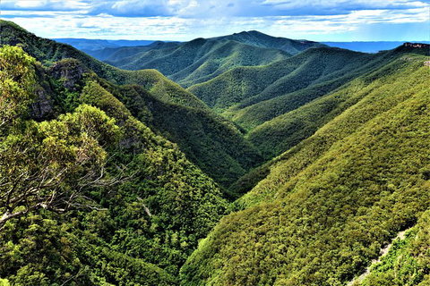 Blue Mountains Into The Wild Overnight Camping 4WD Off Road Wilderness Adventure - Mackay Tourism 13