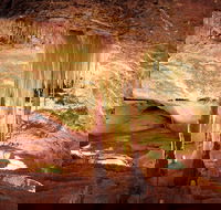 Jenolan Caves Ribbon Cave Tour - Mackay Tourism