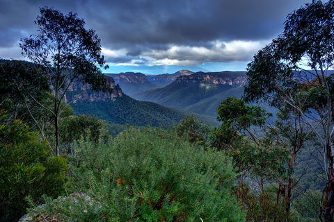 Ultimate Blue Mountains And Wildlife Tour - Mackay Tourism 6