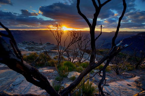 Ultimate Blue Mountains And Wildlife Tour - Mackay Tourism 0