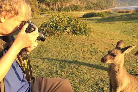 Highlights Of The Eurobodalla (half Day Private Tour) - Mackay Tourism 2
