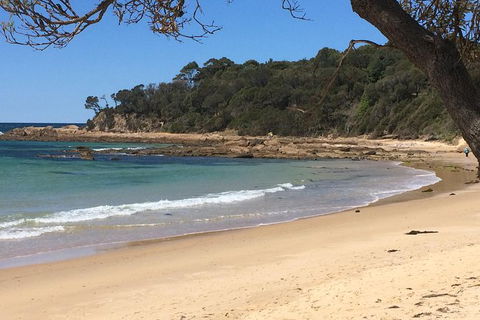 Highlights Of The Eurobodalla (half Day Private Tour) - Mackay Tourism 5