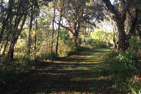 Coffs Harbour To Sawtell Bike Ride - Mackay Tourism 7