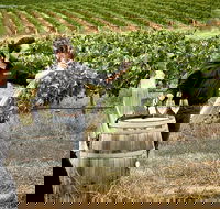 VIP Soil-To-Cellar Experience - Mackay Tourism
