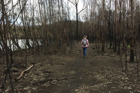 Fishermans Paradise Eco-walk - Mackay Tourism 5