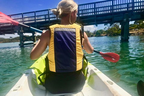 2-Hour Rental Kayak Double In Brunswick River - Mackay Tourism 3