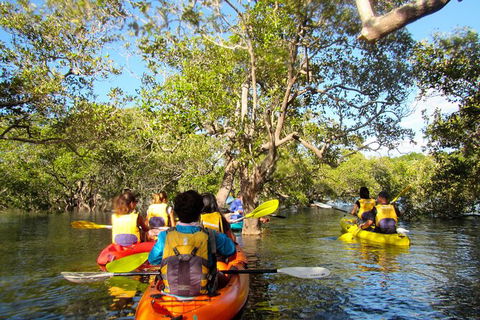 2-Hour Rental Kayak Double In Brunswick River - Mackay Tourism 2