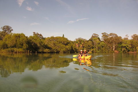 2-Hour Rental Kayak Double In Brunswick River - Mackay Tourism 5