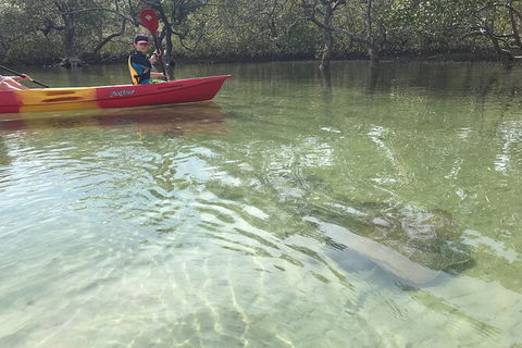 2-Hour Rental Kayak Double In Brunswick River - Mackay Tourism 6