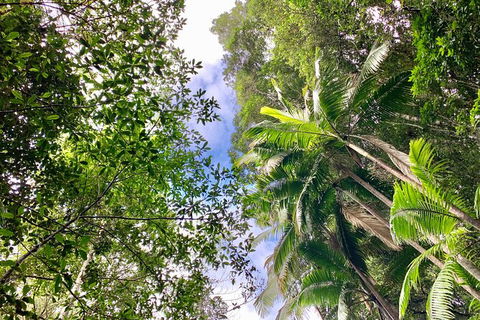 Guided E Bike Tour - Unicorn Falls & National Park - Mackay Tourism 5