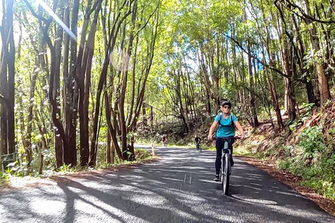 Guided E Bike Tour - Unicorn Falls & National Park - Mackay Tourism 16