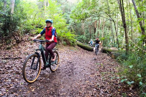 Guided E Bike Tour - Unicorn Falls & National Park - Mackay Tourism 9