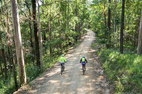 Guided E Bike Tour - Unicorn Falls & National Park - Mackay Tourism 7