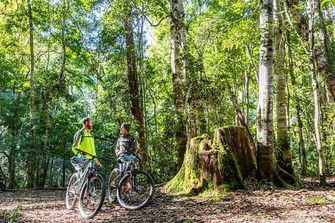 Guided E Bike Tour - Unicorn Falls & National Park - Mackay Tourism 14