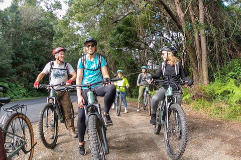 Guided E Bike Tour - Unicorn Falls & National Park - Mackay Tourism 11